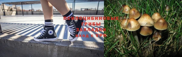 mix Надым